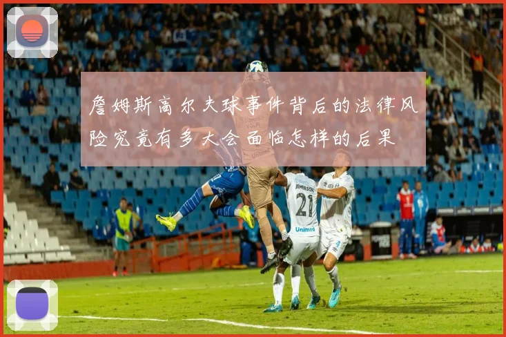 詹姆斯高尔夫球事件背后的法律风险究竟有多大会面临怎样的后果