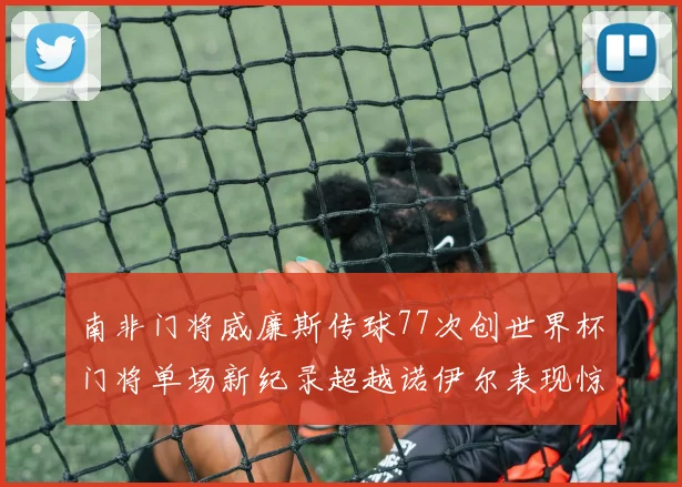 南非门将威廉斯传球77次创世界杯门将单场新纪录超越诺伊尔表现惊艳