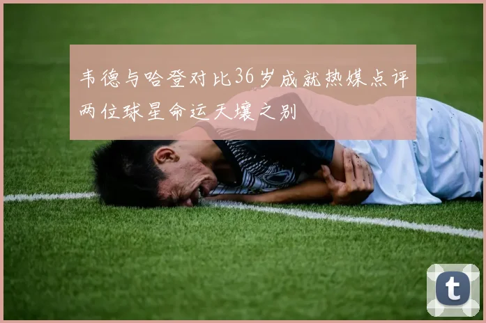 韦德与哈登对比36岁成就热媒点评两位球星命运天壤之别